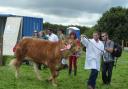 Great entries at a previous Nevern Show. Picture: Western Telegraph