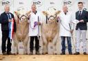 GM Jones, based in Welshpool, picked up both the prize for overall champion and reserve champion