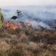 Firefighters tackled the blaze on Dinas Mountain using beaters. Picture: Operation Dawns Glaw Mid and West Wales Fire and Rescue Service