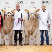 GM Jones, based in Welshpool, picked up both the prize for overall champion and reserve champion