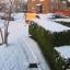 2010 snow