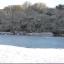 2010 snow