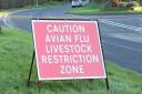 An outbreak of avian flu has been confirmed on a large Pembrokeshire poultry farm