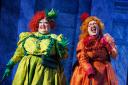 Wit and wardrobe- the ugly sisters. Picture: Drew Buckley Photography