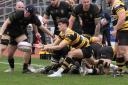 LIVEWIRE: Che Hope was to the fore in Newport's win against Llandovery