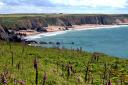 Marloes Sands is one of the most beautiful beaches in Pembrokeshire with its volcanic rocks and wildlife.