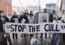 Pembrokeshire Against the Cull (PAC) staged a dramatic protest on the steps of the Senedd