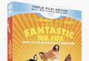 Win free Fantastic Mr Fox DVDs