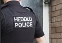 Police are investigating an alleged assault in Cardigan last week.