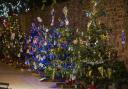 A Christmas tree festival is just one of the events that will tkae place this Christmas at Neyland