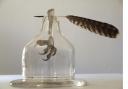 Linda Norris' award-winning poetry-inspired glass sculpture. Picture: Toril Brancher.