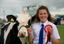 Gwenllian Wilson with her winning maiden heifer from the Tregibby herd, Cardigan. PICTURE: Lisa Soar
