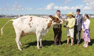 Pembrokeshire County Show,Withybush showground August 17-19, 2010.