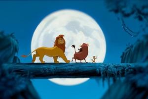 Image for movie 904