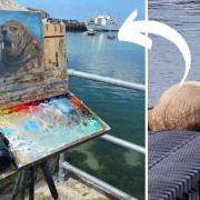 Wally the walrus was on the pontoon in St Mary's Harbour when artist Steve Sherris portrayed him. Pictures : Left - Steve Sherris @scillyartist; Right - Sarah-Jane Eastman
