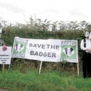 CULL REACTION: Protests before plan revealed