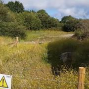 National park planners have backed plans to build 14 social-rented homes at Dinas Cross. Picture: Pembrokeshire Coast National Park webcast.