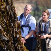 Inspecting the seaweed grown at Câr-Y-Môr Wales’ first ‘regenerative ocean farm.