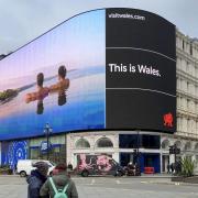 The tranquil Pembrokeshire view on the Piccadilly Circus screen  is a striking contrast to the hustle and bustle of central London.