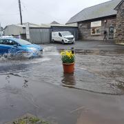 Cars making their way through flooding on Strand in Cardigan.