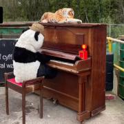Piano Panda has been calling the tune for smiles at the skip site.