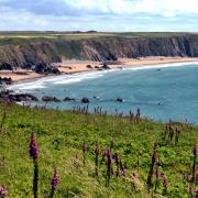Marloes Sands is one of the most beautiful beaches in Pembrokeshire with its volcanic rocks and wildlife.