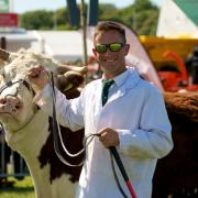 PICTURE GALLERY: Cattle section - Pembrokeshire County Show