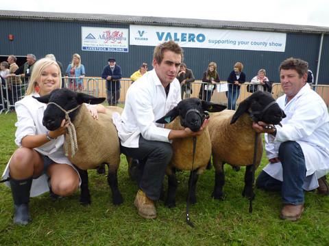 The livstock sections are always a hit with visitors at the 2012 Pembrokeshire County Show