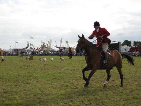 Wales' largest three-day county agricultural show drew crowds to Withybush Showground, near Haverfordwest, from August 16-18. The Pembrokeshire County Show is an annual celebration of agriculture, livestock and all things countryside with a host of attrac