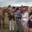 The livstock sections are always a hit with visitors at the 2012 Pembrokeshire County Show