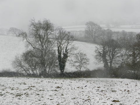 Narberth snow