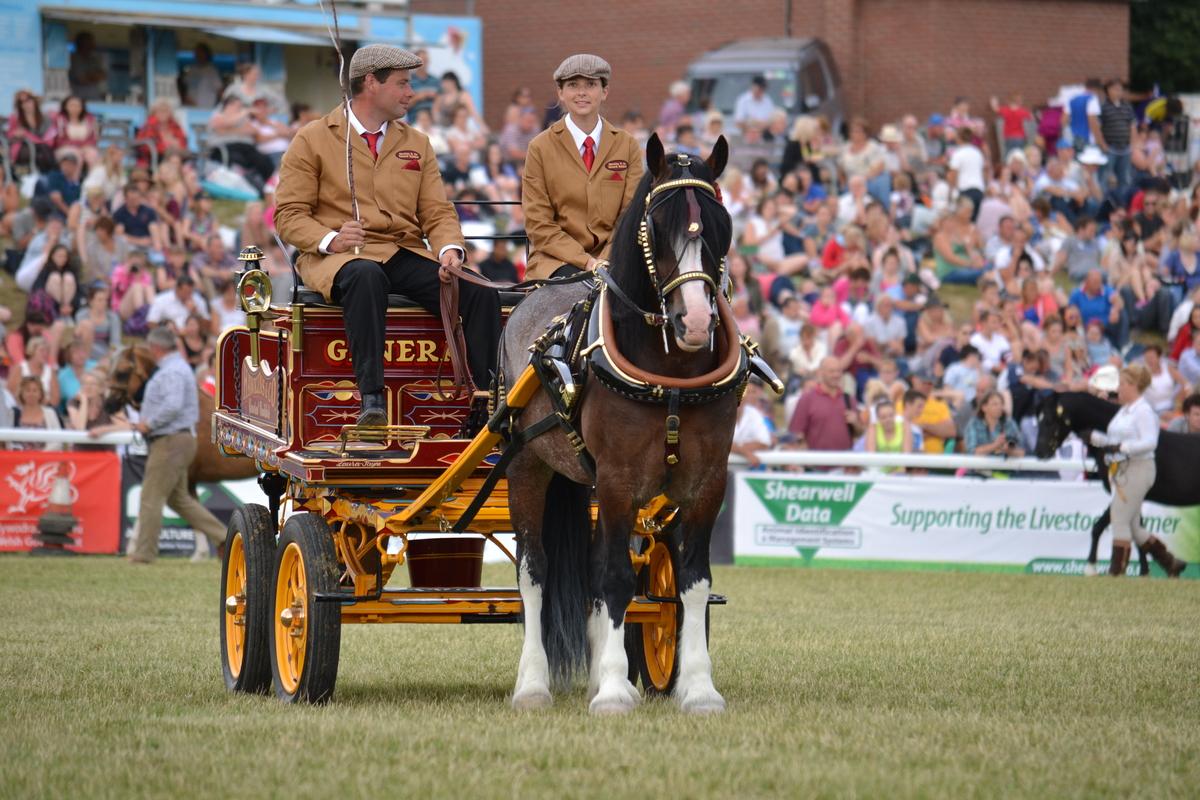 The 2013 Royal Welsh Show was a huge success, with thousands of top class exhibits competing for the top prizes.