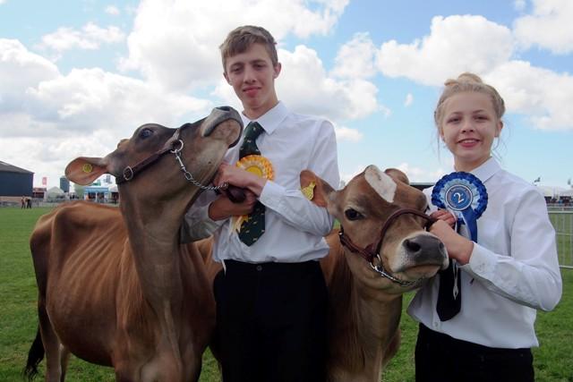 Some of the winners and entries from the Pembrokeshire County Show 2014 cattle sections. 
Pictures by: photographer Lisa Soar and Western Telegraph reporters Joanna Sayers and Ceri Coleman-Phillips. 