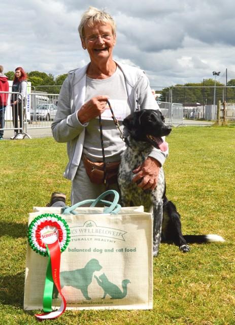 Dog agility and dog show
Pembrokeshire County Show 2014
August 19-21
Pictures: Ceri Coleman-Phillips, Lisa Soar, Jenny Hanson, and Joanna Sayers