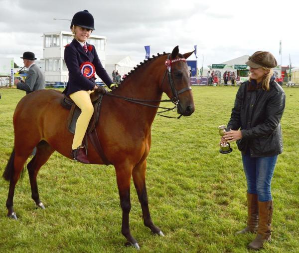 Three were horses of all shapes and sizes at the Pembrokeshire County Show.
Pictures: Western Telegraph reporting team - Ceri Coleman-Phillips and photographer Lisa Soar.
