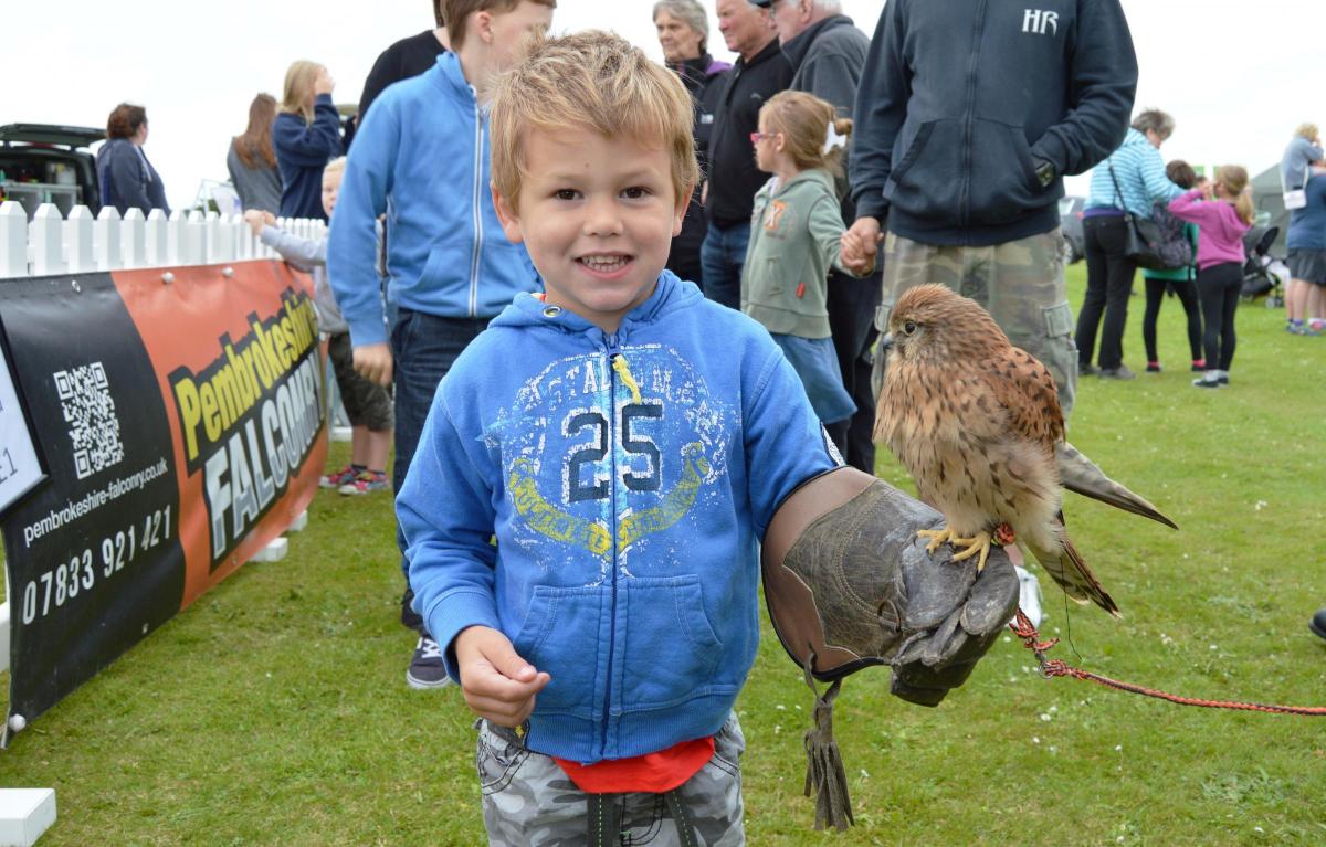Marley Vaughan proudly holds Sapphire, the kestrel.