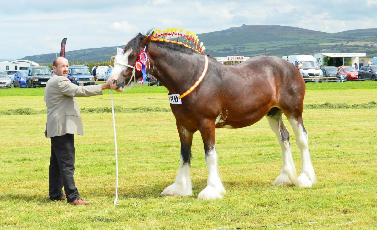 Fishguard Show returned for its 158th year on August 7.