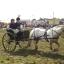 County Show 2008