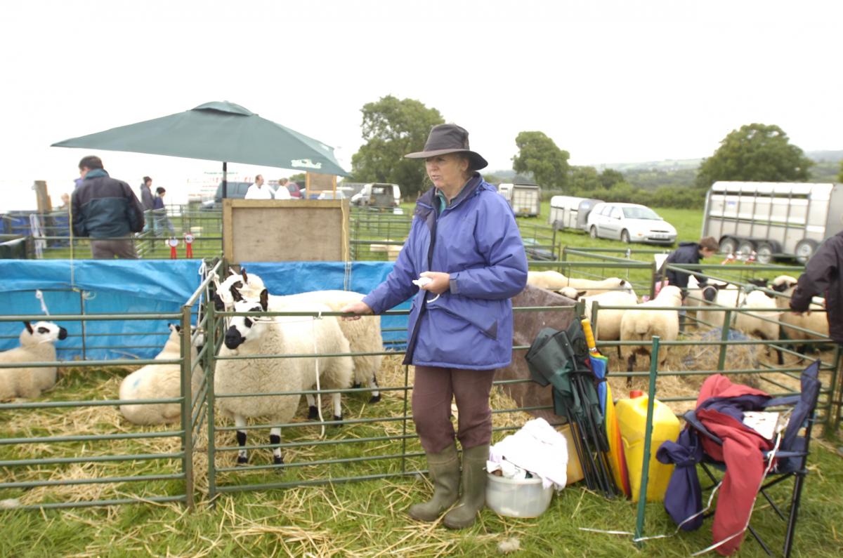 2008 Martletwy Show