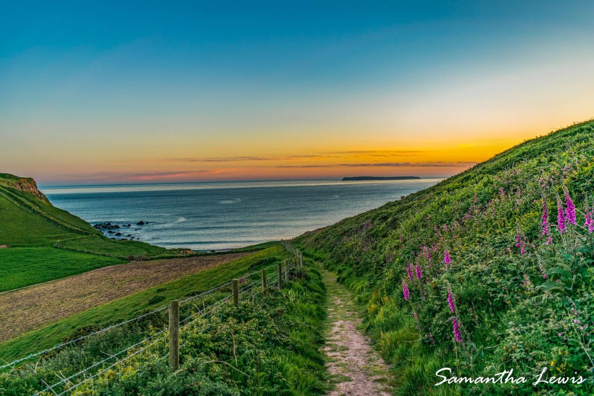 On the coast path at Dale by Sam Lewis