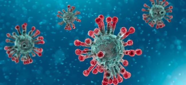 Seven new coronavirus deaths in Wales | Western Telegraph