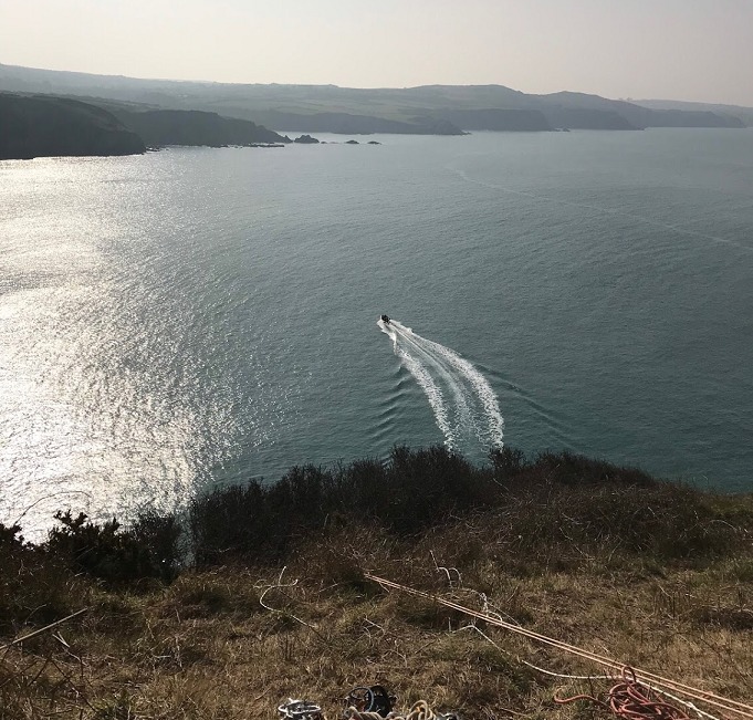 RSPCA officers abseiled down the cliff to access the sheep, before lowering them safely to a boat team below - with the remarkable rescue caught on camera