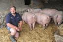 Stuart Williams says the business is now reliant on income from its pig herd. Picture: Debbie James
