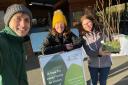 The Folly Farm team distributed some 2,000 free saplings as part of the My Tree, Our Forest project.