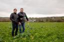 Chris and Bella Mossman have been shortlisted for Grassland Farmer of the Year  in the British Farming Awards.