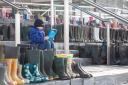 5,500 wellies indicate the possible effect of Welsh Government policies on farming jobs. Image: NFU Cymru