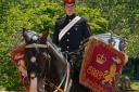 History-making drum horse Major Juno will be immortalised in art.