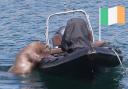 Wally the walrus is pictured back to his old tricks at Ardmore, Co Waterford, as he attempts to board a boat. Picture: Niall Carson/PA Wire