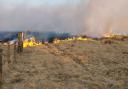 Recent fires at the Preseli Hills