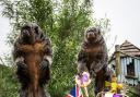 Monkeying around to celebrate the jubilee at Folly Farm. Picture: Joann Randles